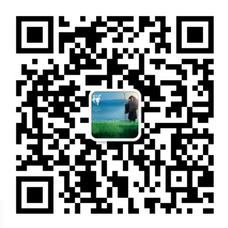 耐磨陶瓷襯板f-ewm